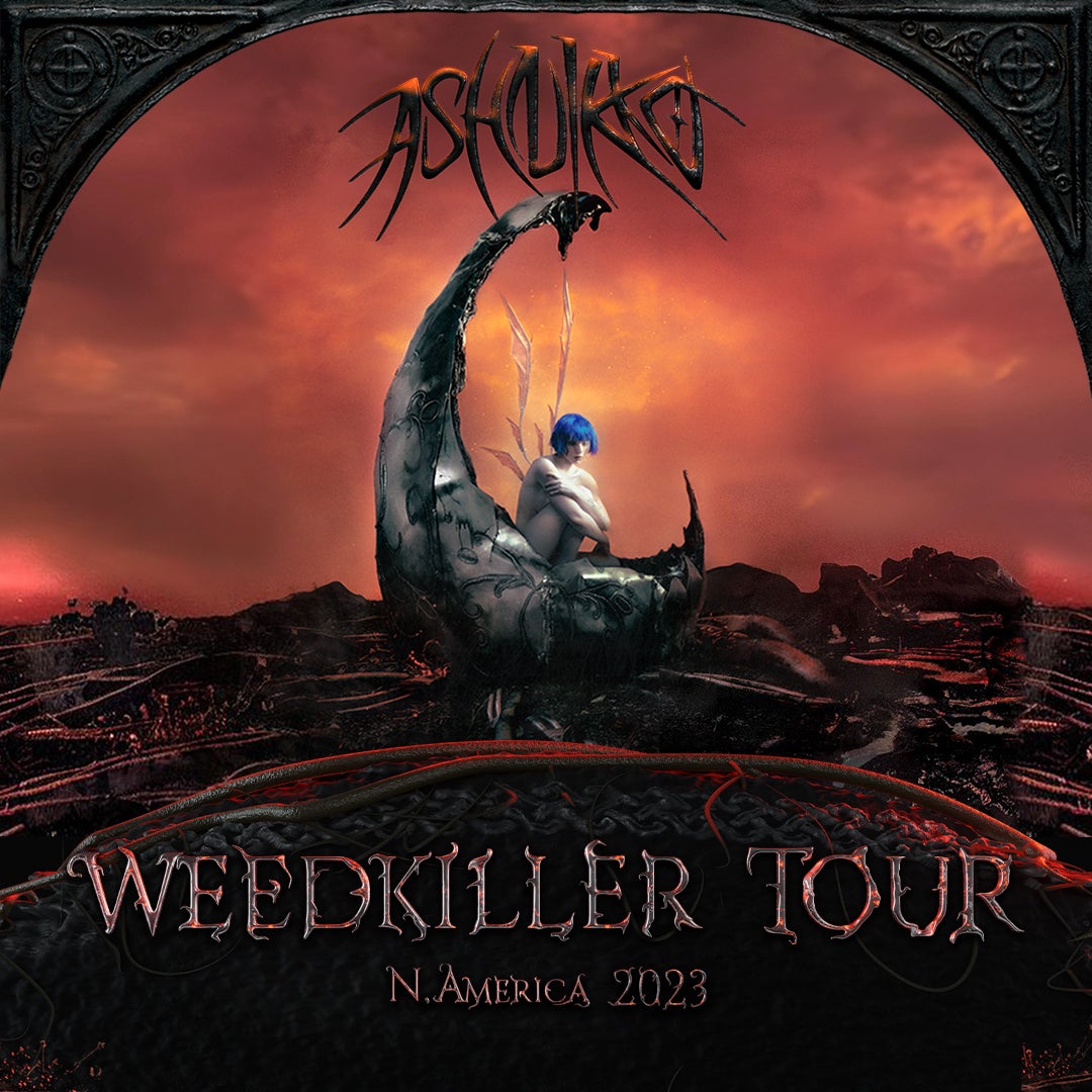 ASHNIKKO TicketLeader