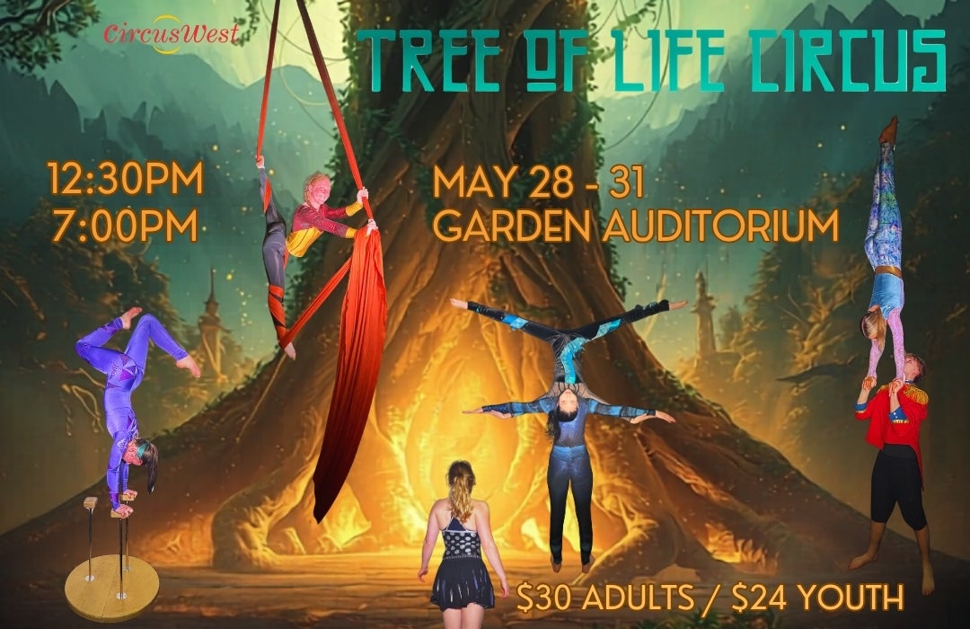 TREE OF LIFE CIRCUS