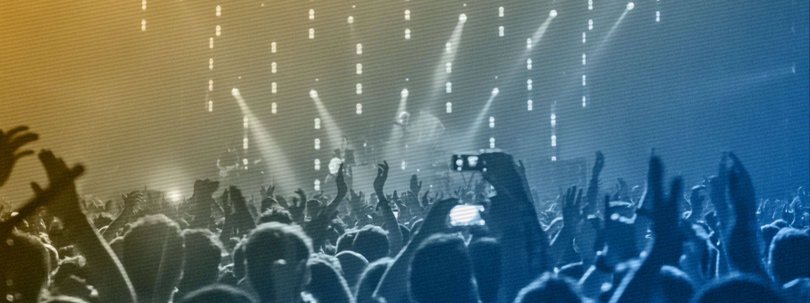 Contact Music Festival