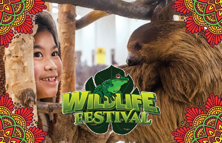More Info for 2024 Vancouver Wildlife Festival 